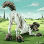  2016 all_fours anatomically_correct anatomically_correct_pussy animal_genitalia animal_pussy anus butt canine canine_pussy coypowers dog dog_with_a_blog female feral fur grass in_heat inviting looking_at_viewer looking_back mammal nude open_mouth outside peeing poodle presenting presenting_pussy pussy rangerdalmatian_edit rear_view simple_background solo spots teats tree urine 