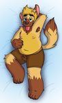  2017 anthro bed bed_sheet bedding belly big_belly blush briard bulge canine clothing dog eyewear fur glasses hair handsdownhound inverted_nipples male mammal nipples overweight paws quintus_(handsdownhound) simple_background slightly_chubby smile solo spreading tongue transformation underwear 