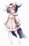  full_body highres kemono_friends long_sleeves looking_to_the_side northern_white-faced_owl_(kemono_friends) orange_eyes short_hair simple_background solo sorairo_len standing tail white_background white_hair white_legwear 