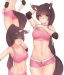  :d adjusting_clothes animal_ear_fluff animal_ears arm_behind_back arm_behind_head armpits ass back bangs bare_shoulders bluefield blunt_bangs blush breasts brown_hair closed_mouth collarbone covered_nipples cowboy_shot dimples_of_venus elbow_pads eyebrows_visible_through_hair eyelashes fox_ears fox_tail from_above green_eyes highres long_hair looking_at_viewer looking_up medium_breasts multiple_views navel nose_blush open_mouth original outstretched_arm pink_shorts short_shorts shorts simple_background sleeveless smile sports_bra sportswear standing stomach sweat tail thigh_gap thighs tsurime very_long_hair white_background 