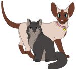 2015 aliasing alpha_channel alternate_species ambiguous_gender annoyed birman_cat blue_eyes bluekyokitty brown_body brown_fur brown_inner_ear brown_nose collar collar_tag countershade_fur countershading digital_drawing_(artwork) digital_media_(artwork) digitigrade domestic_cat fae_(serenity) felid feline felis feral flat_colors fur grey_body grey_countershading grey_eyes grey_fur grey_inner_ear heart_collar_tag himalayan_cat jasper_(serenity) mammal mixed_breed oriental_shorthair paws pink_collar pink_nose pupils raised_tail sebdoggo serenity_(comic) simple_background sitting slit_pupils smile standing tail tan_body tan_fur transparent_background whiskers