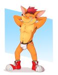 activision anthro bandicoot body_hair bulge clothing crash_bandicoot crash_bandicoot_(series) fur green_eyes hair hi_res ijpalette-color jockstrap looking_at_viewer male mammal marsupial muscular muscular_male pose simple_background smile solo underwear