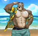 5_fingers abs absurd_res aloha_shirt anthro areola armpit_hair beach bear biceps black_clothing black_nose black_speedo black_swimwear blue_bottomwear blue_clothing blue_shorts body_hair bottomwear brown_body brown_claws brown_fur chest_hair chest_tuft claws clothed clothing cloud detailed_background digital_media_(artwork) eyebrows eyewear fingers fur glasses green_eyes hair hand_on_hip happy_trail hi_res male mammal matchykiwaii muscular muscular_anthro muscular_male navel nipples one_eye_closed open_clothing open_shirt open_topwear outside pattern_clothing pattern_shirt pattern_topwear pecs pink_areola pink_nipples pubes sand seaside shirt shorts sky smile solo speedo standing sun sunglasses swimwear teeth topwear tuft water white_body white_eyebrows white_fur white_hair wink