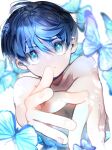  1boy blue_eyes blue_hair blurry blurry_background bug butterfly closed_mouth collarbone colored_eyelashes gradient_hair hair_between_eyes kamino_eru looking_at_viewer male_focus multicolored_hair nude original own_hands_together short_hair simple_background upper_body v-shaped_eyebrows white_background 