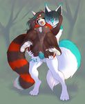  2016 anthro anthro_on_anthro artik_ninetails balls breasts butt canine cum cum_inside cyan_tail duo female fur gunmouth hair knot male male/female mammal markings multicolored_fur multicolored_hair multicolored_tail nipples nude open_mouth paws penetration penis pussy red_panda sex two_tone_fur two_tone_hair vaginal vaginal_penetration vega_(artica) white_fur white_tail 