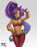 2023 4:5 5_fingers absurd_res biped breasts cc-by-nc-nd clothed clothing creative_commons female fingers genie hair hi_res holding_object holding_pokeball humanoid_pointy_ears long_hair nintendo not_furry orlek pokeball pokemon purple_hair red_clothing shantae shantae_(series) smile solo wayforward