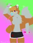 absurd_res anthro bad_dragon bottomwear canid canine clothed clothing digital_media_(artwork) english_text fox fur hi_res hotpants jolly male male/male mammal neon neon_lights neyonrenard shorts signature simple_background solo text