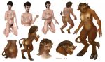 2016 3_fingers anthro balls beard black_hair blizzard_entertainment borsmenta bovid bovine breast_growth breasts brown_body brown_fur brown_hair butt facial_hair female fingers fur gender_transformation genitals growth hair hooves horn horn_growth human human_to_anthro kneeling male mammal mtf_transformation navel nipples nude penis pussy simple_background smile solo species_transformation standing tail tail_growth tauren transformation warcraft white_background 
