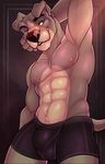  2017 abs anthro armpits biped black_background black_bottomwear black_clothing black_nose black_underwear blue_eyes boxers_(clothing) bruno_(seige-leonis) bulge canine clothed clothing digital_media_(artwork) dog eyebrows fcsimba floppy_ears front_view fur grey_fur grey_tail hand_behind_head hi_res looking_at_viewer male mammal multicolored_fur multicolored_nose muscular muscular_male nipples pecs pink_nipples pink_nose pinup pitbull portrait pose simple_background snout solo standing tan_fur three-quarter_portrait topless two_tone_fur two_tone_nose underwear yellow_sclera 