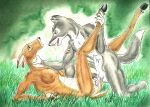 anthro balls breasts brown_body brown_fur butt canid canine canis darkwolfie deer duo eye_contact female female_penetrated forced fur genitals grass grey_body grey_fur hand_on_ankle hand_on_leg hand_on_throat looking_at_another lying male male/female male_dominating_female male_penetrating male_penetrating_female male_raping_female mammal new_world_deer nude on_back penetration penis plant predator/prey predator_penetrating_prey pussy questionable_consent rape scared sex vaginal vaginal_penetration white-tailed_deer white_body white_fur wolf