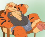  anthro arcanine belly bulge canid canine chair clothed clothing fangs furniture generation_1_pokemon male mammal nintendo nipples overweight overweight_anthro overweight_male peppygrowlithe pokemon pokemon_(species) sitting solo teeth topless underwear 
