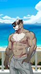 2024 abs absurd_res anthro beach belwulf biceps big_bulge body_hair bulge canid canine canis chest_hair clothed clothing deltoids domestic_dog drawstring eyebrow_scar eyebrows facial_scar grey_hair hair hand_in_pocket hi_res looking_at_viewer male mammal manly mature_male muscular navel nipples obliques one_eye_closed outside pecs pockets railing scar sky skyscape solo topless triceps wink winking_at_viewer