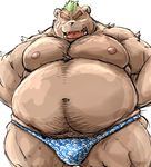  ashigara bandage bear kotobuki male mammal nipples obese overweight overweight_male tokyo_afterschool_summoners 