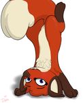  canine dunewulff female fox handstand jungledyret_hugo mammal pussy rita_(jungledyret) semi-anthro 