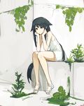  artist_name bangs bare_arms bare_legs black_hair clenched_hands closed_mouth dress green_eyes hair_flaps hands_on_own_cheeks hands_on_own_face lansane long_hair plant sandals saya saya_no_uta shoes sitting smile solo very_long_hair white_dress white_footwear 