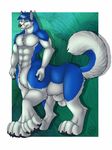  2017 4_fingers 4_toes abs animal_genitalia balls biceps big_tail black_claws black_nose blue_eyes blue_fur blue_hair blue_tail border canine chest_tuft claws digital_media_(artwork) dog eyebrows fully_sheathed fur green_background hair hi_res husky jhusky looking_at_viewer male mammal multicolored_fur multicolored_tail muscular muscular_male outside_border pecs quadruped raised_eyebrow shadow sheath short_hair side_view simple_background smile snout solo taur tigran_the_werewolf toe_claws toes tuft two_tone_fur two_tone_tail watermark white_balls white_border white_fur white_tail 