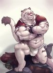  anthro bulge clothing feline fundoshi grimoire_of_zero japanese_clothing kusunagi male mammal mercenary_(character) solo tiger underwear 