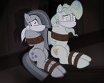  2017 bdsm blue_eyes bondage bound cloth_gag duo equine female friendship_is_magic gag horse mammal marble_pie_(mlp) my_little_pony pegasus pony purple_eyes radiantrealm rope rope_bondage scared tears vapor_trail_(mlp) wings 