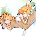  animal_ears bare_shoulders blonde_hair bow bowtie cheek_squash closed_eyes commentary_request from_side high-waist_skirt in_tree kemono_friends lying on_stomach peanutc serval_(kemono_friends) serval_ears serval_print serval_tail shirt sketch skirt sleeping sleeveless sleeveless_shirt solo striped_tail tail thighhighs tree tree_branch triangle_mouth white_background white_shirt 