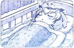  bed bed_sheet blue closed_eyes commentary_request curtains kemono_friends monochrome northern_white-faced_owl_(kemono_friends) pillow sakino_shingetsu short_hair sleeping solo 