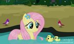  2017 avian bird cutie_mark duck equine feathered_wings feathers female feral flower fluttershy_(mlp) friendship_is_magic grass hair hi_res mammal my_little_pony outside pegasus pink_hair plant shutterflyeqd smile solo water wings yellow_feathers 