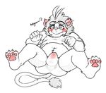  4_toes 5_fingers anthro belly blush boxers_(clothing) bulge clothing feline hotoshuken line_art lion male mammal navel overweight pawpads precum shirt-lift simple_background solo toes underwear 