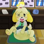  animal_crossing anthro blush canine clothing desk diaper dog drawers female fillyscoots42 isabelle_(animal_crossing) mammal nintendo one_eye_closed open_mouth paper phone rubbing sitting skirt solo tongue urine video_games wet_diaper window 