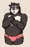  anthro bear blush brown_fur bulge fur hotoshuken male mammal obese open_mouth overweight penis_outline penties precum precum_through_clothing solo standing white_fur 