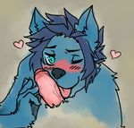  &lt;3 anthro blue_eyes blue_fur blue_hair blush canine dog erection foreskin fur hair hotoshuken humanoid_penis male male/male mammal penis tongue tongue_out uncut 