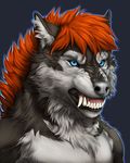  2016 angry anthro black_lips blue_background blue_eyes bust_portrait canine collaboration digital_media_(artwork) fangs felfi front_view fur grey_fur grey_nose hair hi_res inner_ear_fluff lips looking_at_viewer male mammal multicolored_fur orange_hair portrait rogueliger simple_background snarling snout solo storm_(stormwx_wolf) teeth two_tone_fur white_fur wolf 