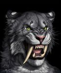  2016 angry anthro black_background black_fur black_lips cheek_tuft collaboration digital_media_(artwork) ear_markings facial_markings fangs felfi feline front_view fur green_eyes grey_fur headshot_portrait hi_res kreb lips looking_at_viewer male mammal markings multicolored_fur open_mouth pink_nose pink_tongue portrait rogueliger saber-toothed_cat sabertooth_(feature) simple_background snarling solo teeth tongue tuft whiskers white_fur white_markings 