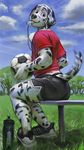  anthro ball canine clothed clothing dalmatian dog looking_at_viewer male mammal sitting smile soccer_ball solo tacklebox tailwag whistle 