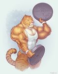  2012 anthro areola blue_eyes clothing exercise feline herc_the_liger hybrid jockstrap liger lion mainlion male mammal muscular muscular_male nipples shirt simple_background tank_top thick_thighs tiger underwear weightlifting weights workout 