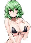  alternate_costume bangs bikini black_bikini breasts cleavage commentary_request front-tie_bikini front-tie_top green_hair halter_top halterneck highres jewelry kazami_yuuka large_breasts looking_at_viewer micro_bikini nail_polish necklace parted_lips red_eyes red_nails short_hair solo swimsuit touhou underboob upper_body white_background y2 