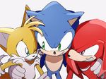  2017 canine clothing echidna fox gloves group hedgehog knuckles_the_echidna male mammal miles_prower monotreme omiya599 sonic_(series) sonic_the_hedgehog video_games 