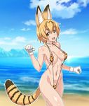  :d animal_ears beach blonde_hair blurry blush breasts brown_eyes circle_echime cloud collarbone cowboy_shot day depth_of_field eyebrows_visible_through_hair from_side gloves groin hair_between_eyes head_tilt highres kemono_friends medium_breasts navel open_mouth outdoors outline paw_pose pubic_hair serval_(kemono_friends) serval_ears serval_print serval_tail sky slingshot_swimsuit smile solo striped_tail swimsuit tail water white_gloves 