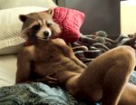  abs anthro bed brown_fur butt edit fur guardians_of_the_galaxy lying male mammal marvel nipples oystercatcher7 pecs photo_manipulation photomorph presenting raccoon red_eyes rocket_raccoon smile solo suggestive 