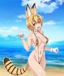  :d animal_ears beach blonde_hair blurry blush breasts brown_eyes circle_echime cloud collarbone cowboy_shot day depth_of_field eyebrows_visible_through_hair gloves groin hair_between_eyes head_tilt highres kemono_friends medium_breasts navel open_mouth outdoors outline paw_pose serval_(kemono_friends) serval_ears serval_print serval_tail sky slingshot_swimsuit smile solo striped_tail swimsuit tail water white_gloves 