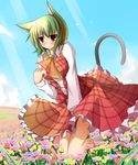  animal_ears ascot blush cat_ears cat_tail day field flower flower_field green_hair highres jitome kazami_yuuka kemonomimi_mode light_rays liya plaid plaid_skirt plaid_vest red_eyes short_hair skirt skirt_set skirt_tug sky solo sunbeam sunlight tail touhou vest 