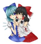  bangs blush chinke cirno hakurei_reimu highres multiple_girls smile touhou 