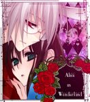  1boy 1girl alice_(wonderland) alice_in_wonderland alice_lidbell animal_ears brown_hair bunny_ears couple flower glasses green_eyes heart heart_no_kuni_no_alice hetero perter_white peter_white red_eyes rose white_hair white_rabbit 