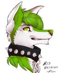  2017 alpha_channel anthro bio_hazardra canine chain collar digital_media_(artwork) fur glowing glowing_eyes glowing_nose green_eyes green_fur green_hair green_nose grin hair headshot_portrait leash looking_at_viewer low_res male mammal portrait profile_view rufustech_(artist) shaded short_hair simple_background smile solo spiked_collar spikes text transparent_background white_fur wolf 