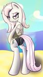  camel_toe clothing equine female friendship_is_magic hair horse mammal my_little_pony pegasus pony solo swimsuit t.f.a.n.c.s. wings 