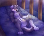  anthro applepup blush bulge canine crib diaper erection hand_on_diaper male mammal masturbation pacifier solo urine watersports wet_diaper 