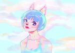  anthro blue_hair canine chippo clothed clothing cloud eyewear female fully_clothed glasses hair hi_res invalid_tag looking_at_viewer mammal outside short_hair solo standing 