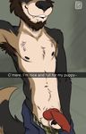  absurd_res animal_genitalia animal_penis anthro balls beard canine canine_penis chewythewolf clothed clothing coywolf erection facial_hair hi_res knot male mammal partially_clothed penis sheath sketch snapchat solo wolfpsalm 