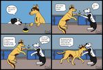  animal_genitalia black_lab-dalmatian-mix canine collar comic dog female jess_(kinaj) kinaj male mammal nick_(kinaj) sheath 