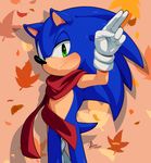  2015 clothing fur gloves hedgehog male mammal myly14 scarf solo sonic_(series) sonic_the_hedgehog 