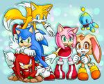 2014 amy_rose canine chao cheese_the_chao clothing cream_the_rabbit echidna female fox fur gloves hedgehog knuckles_the_echidna lagomorph male mammal miles_prower monotreme myly14 rabbit sonic_(series) sonic_the_hedgehog 