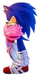  2014 amy_rose clothing female fur hedgehog male mammal myly14 sonic_(series) sonic_boom sonic_the_hedgehog 